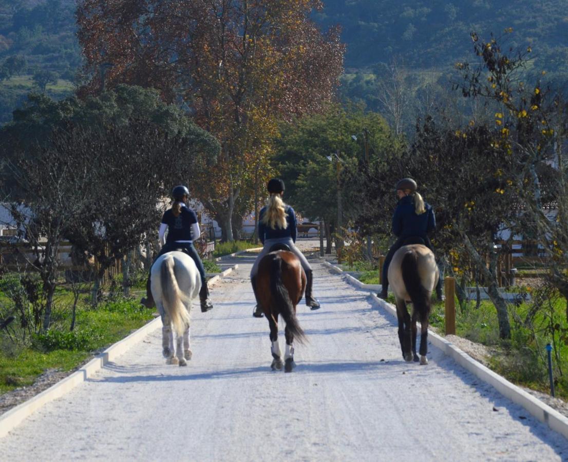 Quinta Da Varzea Raposa Buitenkant foto