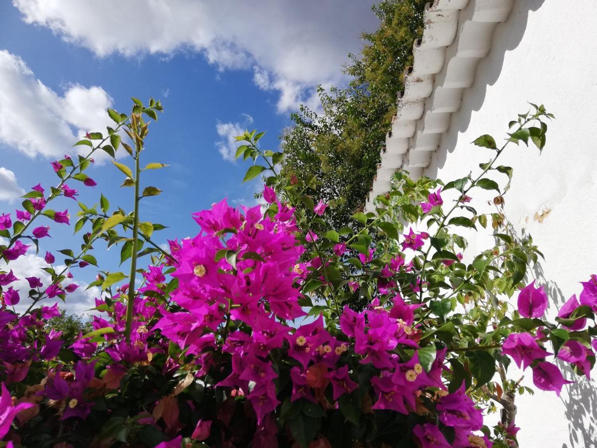 Quinta Da Varzea Raposa Buitenkant foto